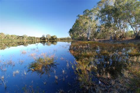 4 scenic River Murray walks you can take in South Australia - Good Living