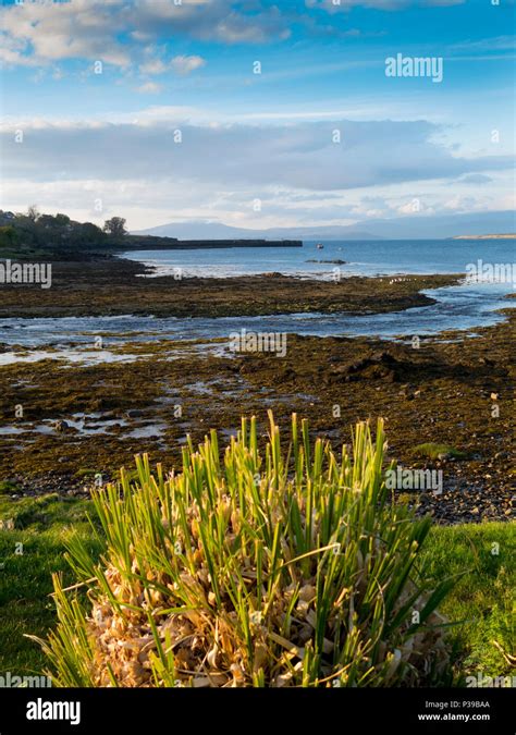 Broadford Bay Isle of Skye Scotland Stock Photo - Alamy