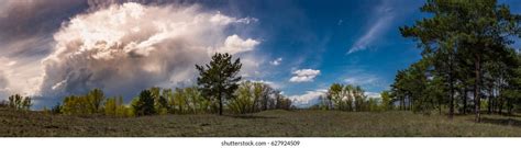 Panorama Landscape Panorama Forest Large Panorama Stock Photo 627924509 ...