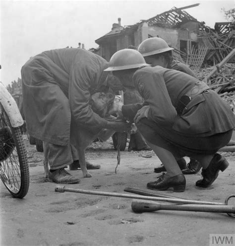 FLYING BOMB: V1 BOMB DAMAGE IN LONDON, ENGLAND, UK, 1944 (D 21222)