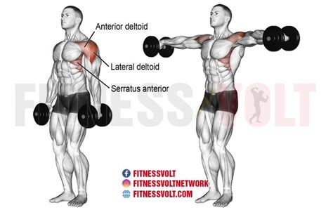 proper lateral raise > OFF-61%