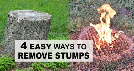 How to Remove Tree Stumps (4 EASY DIY Methods) – DIY Projects, Patterns ...