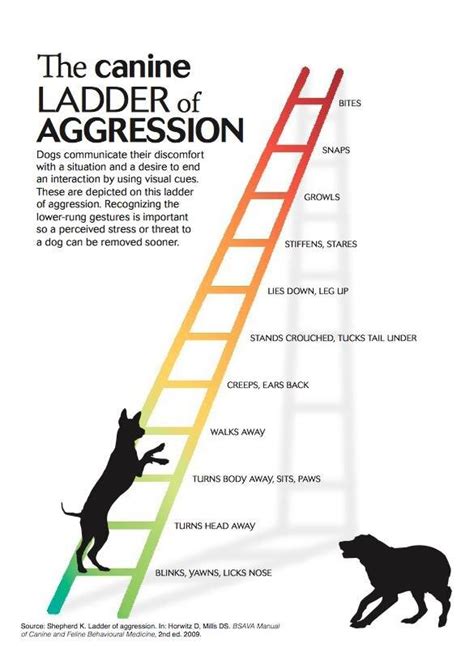 Aggression Ladder