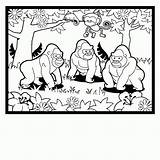Gorilla Coloring Page Animal Pages Zoo  sketch template