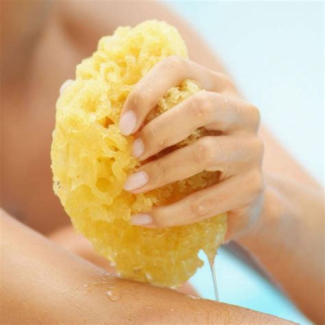 Natural Soft Ocean Sea Sponge Bath Body Shower Washing Spa Loofah 3"-4. ...