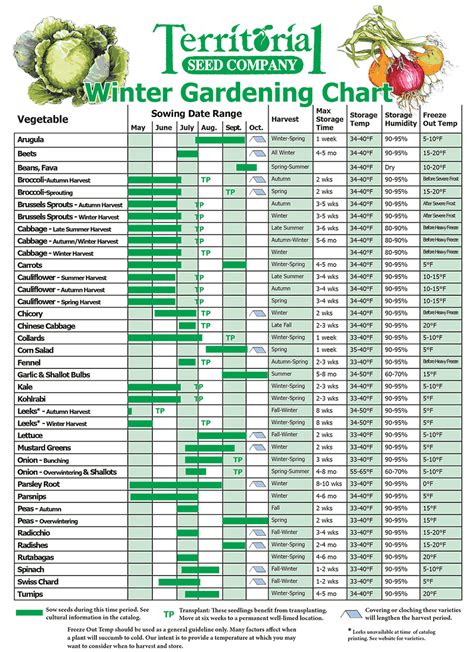 +17 Fall Garden Planting Guide Oklahoma 2023