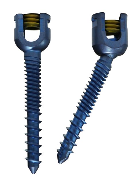 Spine Screw In Chile, Spine Screw Manufacturers Suppliers Chile