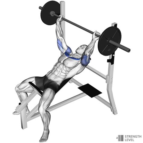 Incline Bench Press How To - Strength Level