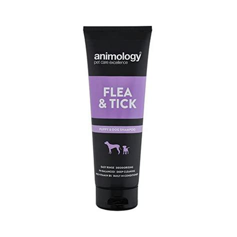 Best Flea Shampoo for Dogs 2024: Keep Pesky Fleas at Bay