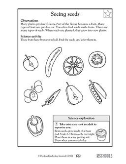 Free printable 1st grade science Worksheets, word lists and activities. | GreatSchools