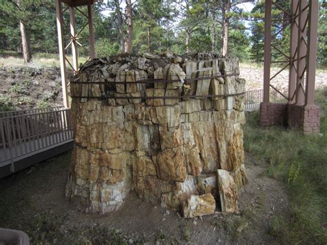 Florissant Fossil Beds National Monument – Not Your Average Engineer