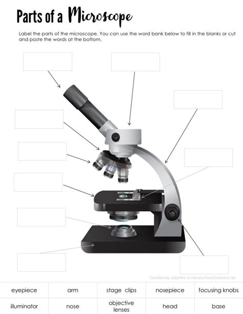 Microscope Parts And Functions Worksheets