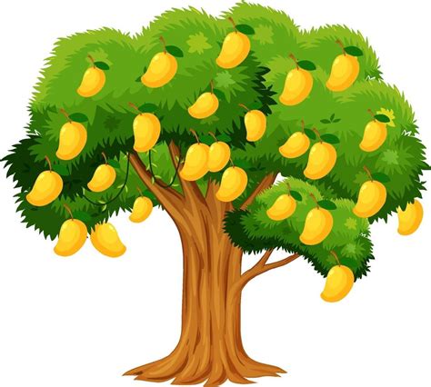 Albero Di Mango arte vettoriale, icone e grafica per il download gratuito