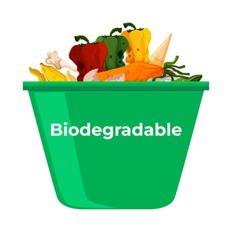 Biodegradable Definition - JavaTpoint