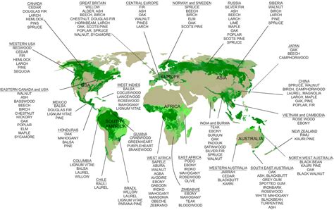 World map showing the distribution of forests and woodlands with the ...