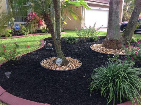 Use black mulch for a clean earthy look. | Plants, Garden plants, Garden