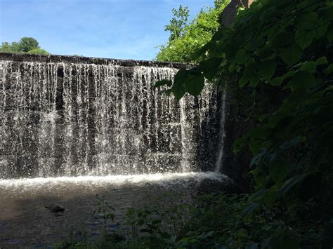 Eastbury Pond – Lost Glastonbury