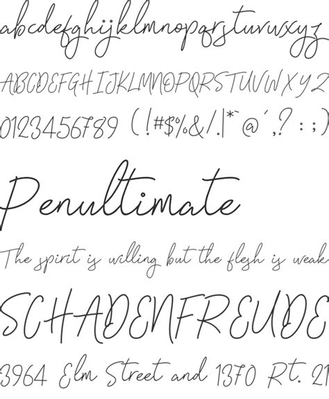 Signatura Monoline Script Font : Download Free for Desktop & Webfont