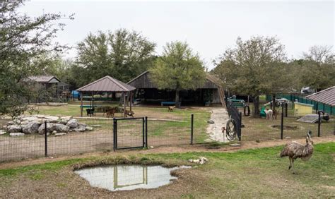 A Guide to Fossil Rim Wildlife Center - DFWChild