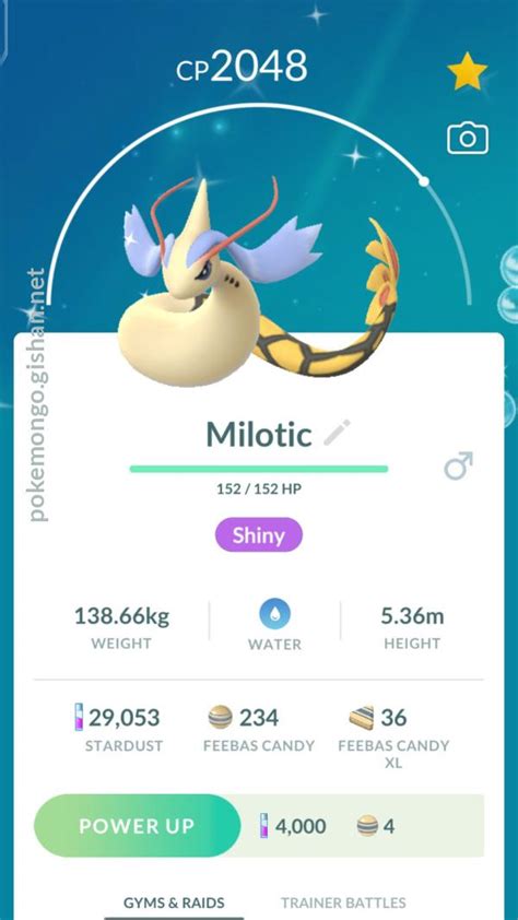 Shiny Milotic - Pokemon Go