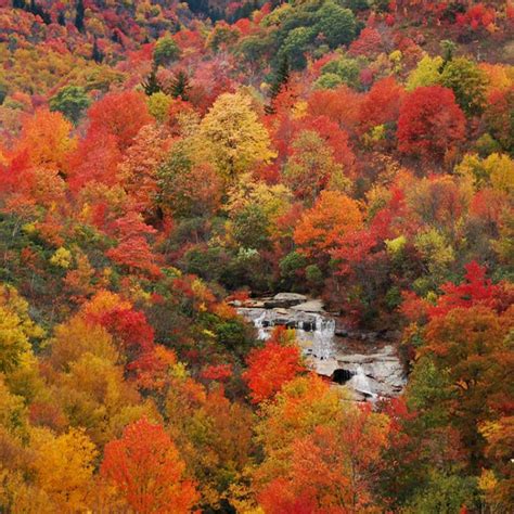 Fall Activities in Asheville | Color Reports & Scenic Drives ...