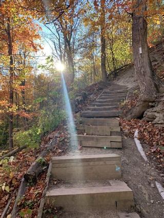 Mini waterfalls off the Bruce Trail in Hamilton : r/ontario