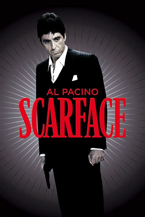 50 best Scareface images on Pinterest | Al pacino, Scarface movie and Cinema