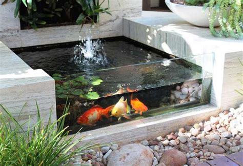 22 Small Garden or Backyard Aquarium Ideas