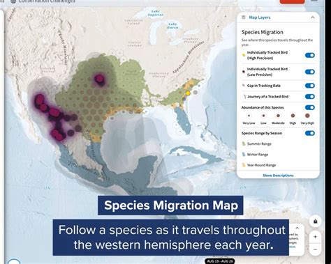 National Audubon Society's Bird Migration Explorer | Blue Raster