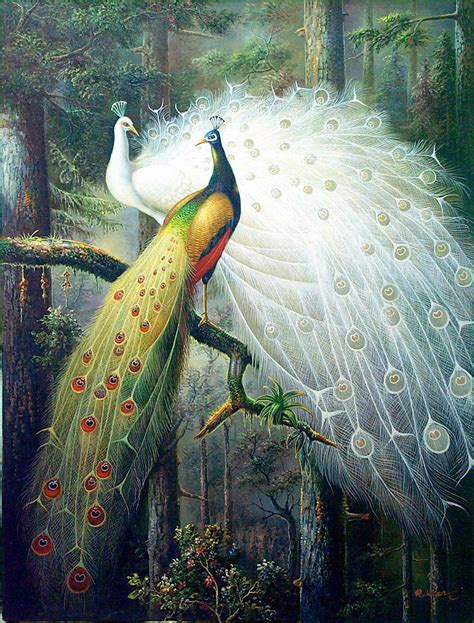 Peacock Oil Painting Peacock Decor, Peacock Art, White Peacock, Peacock Jewelry, Peacock Theme ...