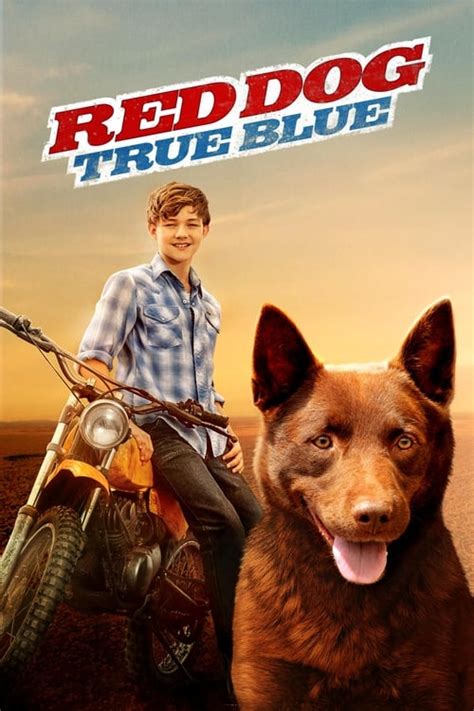 Red Dog: True Blue (2016) — The Movie Database (TMDb)