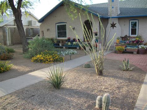 10 Most Popular Desert Landscaping Ideas For Front Yard 2024