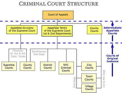 State Judicial System | Constitutional Law and Rights