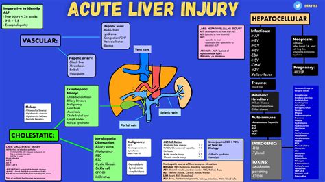 Liver Cyst Algorithm