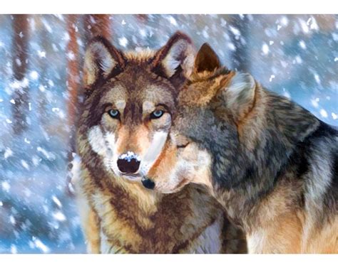 Collection d'Art Wolf Couple - Diamond Painting Kit 7088 - 123Stitch