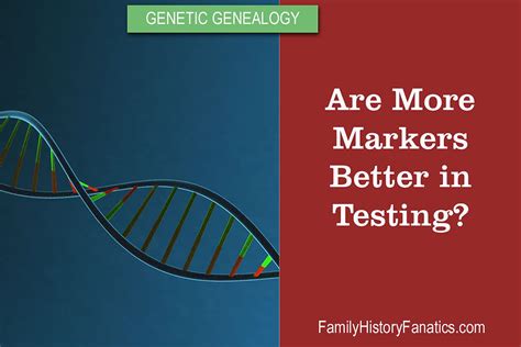 Do More Genetic Test Markers Matter in DNA Testing