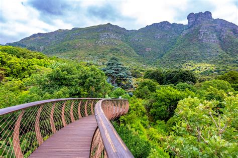 Kirstenbosch_1444390487 - Where Your Journey Begins