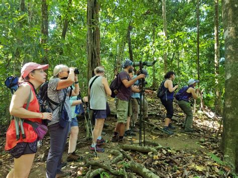 Choosing Your Hiking Shoes for Costa Rica - Green Edventures Eco Tours ...