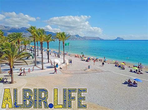 Albir.Life on a Sunday - Albir Life Directory and Guide