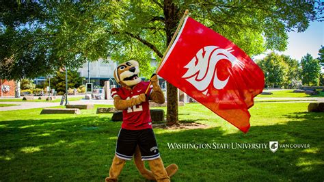 Download Washington State University Mascot Holding the School Flag ...