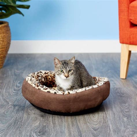 10 Best Cat Beds - 2023 Reviews & Top Picks | Hepper