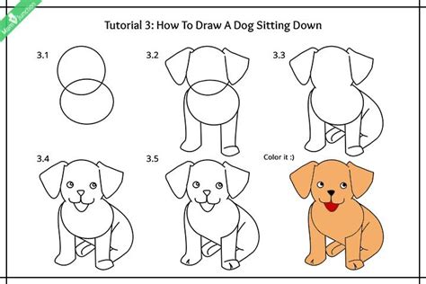 Step By Step Guide On How To Draw A Dog For Kids