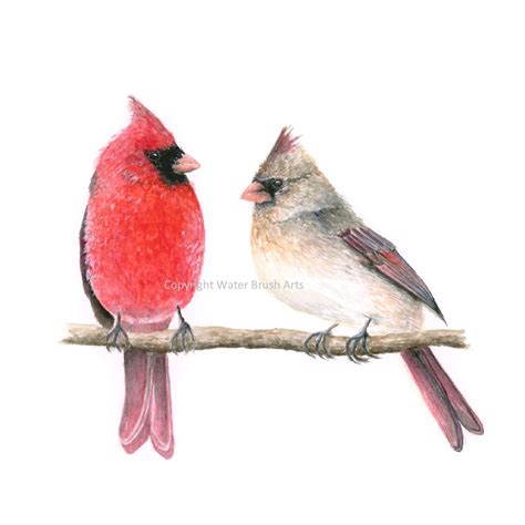 Cardinal Pair Watercolor Print - Etsy