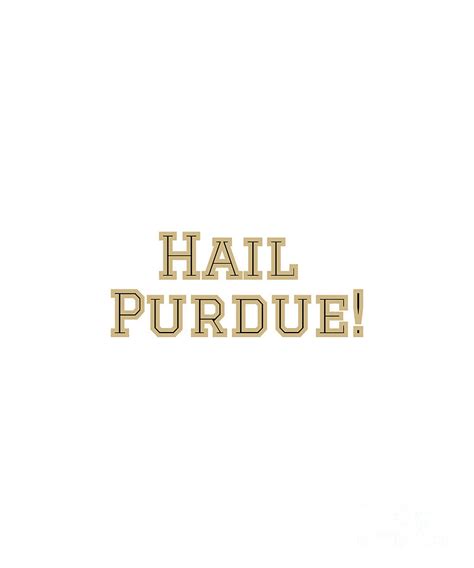 Hail Purdue Fight Song gold Digital Art by College Mascot Designs ...