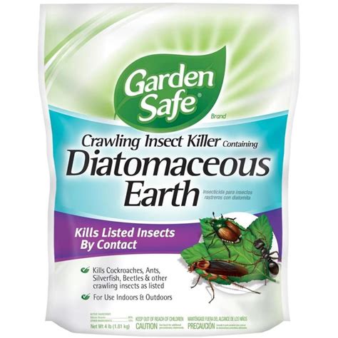 Diatomaceous Earth Safe For Pets To Eat | Pets Animals US