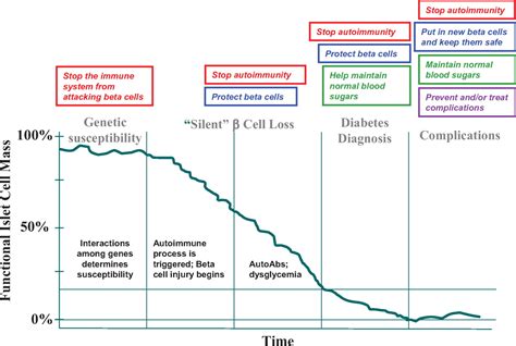 The Juvenile Diabetes Research Foundation at Forty: Updates of Research ...