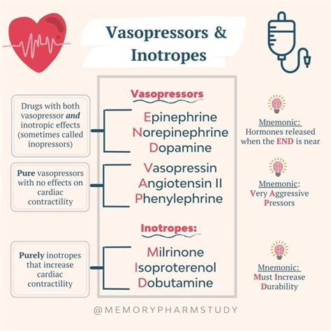 Vasopressors and Inotropes⁠ – Memory Pharm in 2023 | Nursing school notes, Nursing school ...