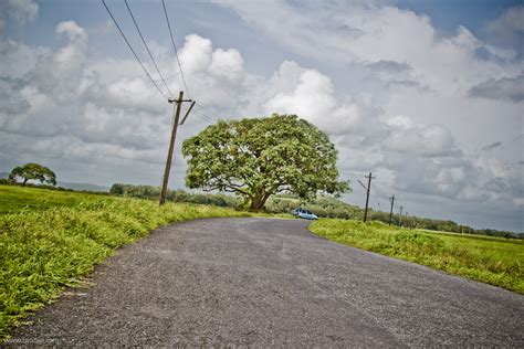 A bend in the road - Divar Island - Footwa