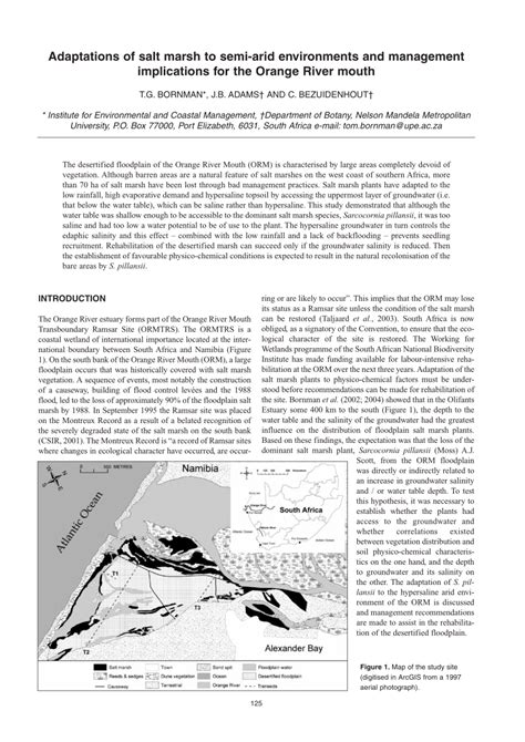 (PDF) Adaptations of salt marsh to semi-arid environments and ...