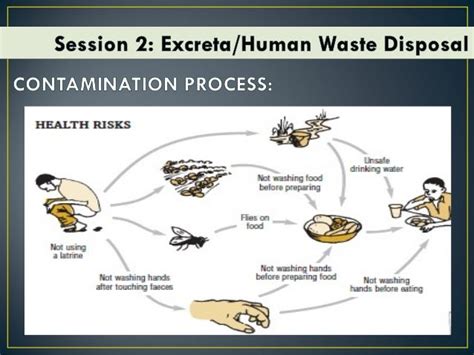 MODULE 6: ENVIRONMENTAL SANITATION